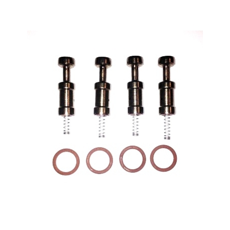 Rail Apache IG1 Injector Repair Kit