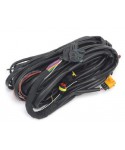 Cablaggio generale Bora S32 OBD (2/3/4 Cilindri) - Colori WFSI