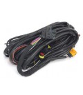 Cablaggio generale Bora S32 OBD (2/3/4 Cilindri) - Colori WFSI