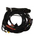 Bora Direct 8 cylinder general wiring 94 ways