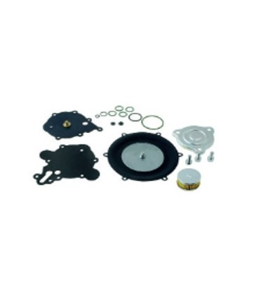 Kit Revisione Riduttore AT04 Metano