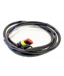 Cablaggio Sensore Livello CNG