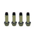 Valve Protection Plunger Replacement Kit, 4 cylinder