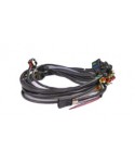 Valve Protection Wiring 4 Cylinders