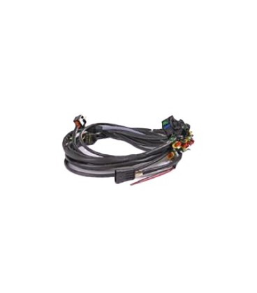 Valve Protection Wiring 4 Cylinders