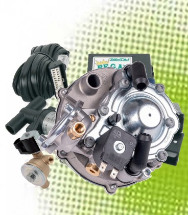 Kit for Catalyzed Injection Vehicles with Regal System