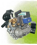 Kit per Veicoli ad Iniezione Catalizzati con Sistema Regal