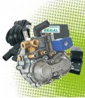 Kit for Catalyzed Injection Vehicles with Regal System