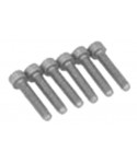 Screws for Fixing Europa 3 Multivalve