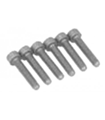 Screws for Fixing Europa 3 Multivalve