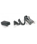 Change-Over Ecu (Brio) - CNG